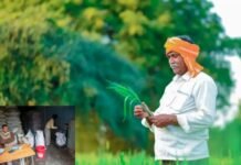 यूरिया खाद के मामले में भारत बनेगा आत्मनिर्भर, किसानों के हित में सरकार ने लिया ये बड़ा फैसला