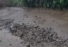 हजारों की पाइपलाइन के लिए खोदी करोड़ों की सडक़,