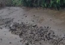 हजारों की पाइपलाइन के लिए खोदी करोड़ों की सडक़,