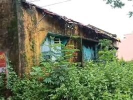 शासकीय आवासीय भवन जीर्णशीर्ण, मंडराया बड़े हादसे का खतरा, जिम्मेदार मौनजनपद पंचायत के सामने बने जर्जर भवन को जल्द डिस्मेंटल करने की उठी मांग