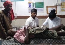 बैल की तलाश में जंगल पहुंचा किसान- मादा भालू से हुई आमने सामने की भिड़ंत
