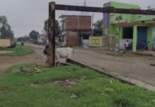 40 साल बाद भी कायदी रेलवे स्टेशन तक नहीं बना समुचित पहुंच मार्ग