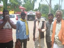 तीन महीने से टीपी का इंतजार, खेत में सड़ रहा हजारों बांस