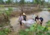 तीन दिनों से लापता अधेड का कुएं मेंं मिला शव