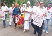 गाय को राष्ट्रमाता घोषित जाने की मांग को लेकर गौसेवकों ने किया अनूठा प्रदर्शन
