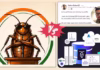 ‘कॉकरोच जनता पार्टी से मेरा कोई लेना-देना नहीं’, CockroachDB कर्मचारी ने कहा- कुछ राजनेता मेरी प्रोफाइल देख रहे
