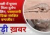 BALAGHAT NEWS:नाली में घूमता मिला दुर्लभ पेंगोलिन, परासपानी में दिखा संरक्षित वन्यजीव ! PADMESH NEWS