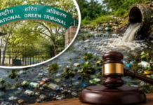 छोटे तालाब में बिना ट्रीटमेंट के सीवेज बहाने पर NGT सख्त; भोपाल नगर निगम पर लग सकता है 1.70 करोड़ रुपये जुर्माना