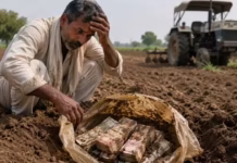 चोरी के डर से किसान ने खेत में दबा दिए 5 लाख रुपये, जब पैसे निकालने पहुंचा तो उड़ गए होश! जानें क्या है ये सनसनीखेज मामला
