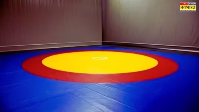 155586522
