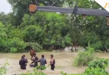 राजगढ़ में उफनते नाले में बही ओमनी कार; 7 लोगों के शव मिले और 2 अब भी लापता, 2 को बचाया गया