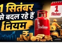 LPG, गोल्ड से लेकर FD तक… 1 सितंबर से बदल रहे हैं ये बड़े नियम