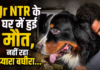 SHOCKING: नहीं रहा Jr NTR के जिगर का टुकड़ा, रुक गईं बघीरा की सांसें
