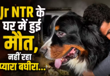 SHOCKING: नहीं रहा Jr NTR के जिगर का टुकड़ा, रुक गईं बघीरा की सांसें