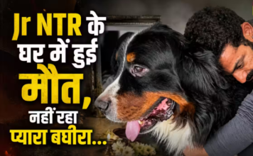 SHOCKING: नहीं रहा Jr NTR के जिगर का टुकड़ा, रुक गईं बघीरा की सांसें