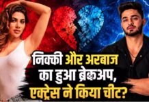 Nikki Tamboli-Arbaz Patel ने दो साल बाद किया ब्रेकअप, एक्ट्रेस ने किया बॉयफ्रेंड को चीट?