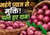 महंगाई पर सरकार का करारा वार: 65 रुपये वाला प्याज अब सिर्फ 35 रुपये में, जानिए कहां से खरीदें