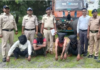 मिनी ट्रक की EMI भरने के लिए चुरा लीं भैंसें! उसी ट्रक में लादकर ले गए, फिर पुलिस ने ऐसे लगाया सुराग, चार आरोपी गिरफ्तार