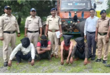 मिनी ट्रक की EMI भरने के लिए चुरा लीं भैंसें! उसी ट्रक में लादकर ले गए, फिर पुलिस ने ऐसे लगाया सुराग, चार आरोपी गिरफ्तार
