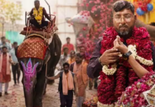 बिजली विभाग के ‘राजा बाबू’: हाथी पर चढ़कर पहुंचे ऑफिस, नोटों की गड्डियों वाला काटा केक , असिस्टेंट इंजीनियर का मना शाही बर्थडे