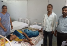 गौतीचाय की पत्ती तोड़ते समय रसोइया को सर्प ने डसा, अस्पताल में इलाज जारी