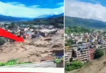 VIDEO: तिब्बत की ओर से आई भीषण तबाही, नेपाल के रसुवा में बाढ़ से हाहाकार, तबाह हो गया पुल, कई गाड़ियां भी बह गईं