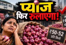 Onion Price Hike: मुंबई के थोक मंडी में तेजी से बढ़े प्याज के दाम, सप्लाई नहीं सुधरी तो 65 रुपये किलो तक पहुंचने का अंदेशा