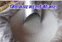 Sugar Price News: त्योहारों से पहले और कड़वी हुई चीनी, 65 रुपये प्रति किलो के पार खुदरा भाव, राहत के लिए आयात का सहारा