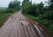 अमोली से आमाटोला (ददिया) पहुंच मार्ग गड्डों में तब्दील