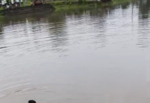 नागपुर जाने निकला युवक ने तालाब में लगाई छलांग-गोताखोरों ने निकाली लाश