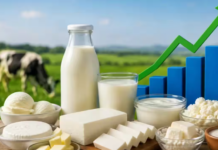 Milky Mist Share Price : IPO के मुकाबले 18% प्रीमियम पर लिस्ट; अब खरीदें, बेचें या होल्ड करें?
