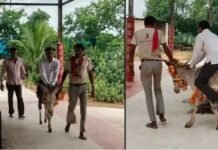 ‘हे इंद्रदेव! तरस खाओ’…महू में बारिश के लिए गजब टोटका, गांव पटेल को गधे पर बैठाकर श्मशान में घुमाया, रस्म देख हर कोई हैरान