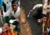 इंसानों के दिल में बस गई ‘जहरीली नागिन’, 12 दिन से इंसानों संग रह रही, चम्मच से दूध-पानी पीने लगी, लोग हाथों से ‘फन’ सहला रहे…