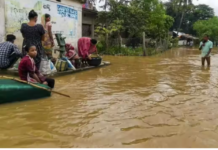 ओडिशा में बैतरणी और सालंदी नदियां उफान पर, 6 जिलों में बाढ़ का खतरा गहराया; भद्रक में स्कूल-आंगनवाड़ी बंद, 7.85 लाख आबादी प्रभावित