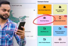 खाते में पीएम किसान निधि की किस्त आई या नहीं? 3 तरीकों से फोन पर चेक करें, समझें हर एक स्टेप