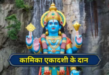 कामिका एकादशी पर अनाज सहित 4 चीजों का करें दान, जीवन में बढ़ेगी समृद्धि और शुभता