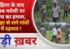 BALAGHAT NEWS: महिला के बाद अब मवेशी पर बाघ का हमला, कान्हा से लगे गांवों में दहशत ! PADMESH NEWS