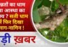 BALAGHAT NEWS: मन्नतों का धाम या आस्था का रहस्य ? सती धाम में फिर दिखा नाग-नागिन ! PADMESH NEWS