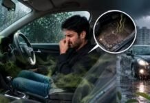 बारिश के दिनों में Car के अंदर क्यों आने लगती है अजीब-सी बदबू? जानिए इसके कारण