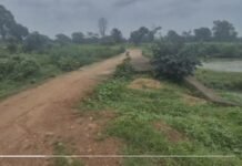 जर्जर पुल से मंडरा रहा हादसे का खतरा
