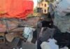 Kerala Road Accident: त्रिशूर में दर्दनाक सड़क हादसा, ट्रक और कार की जोरदार टक्कर; 8 लोगों की मौत