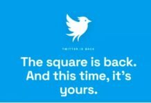 Twitter की हो रही वापसी? पुरानी चिड़िया भी आएगी वापस, Twitter.now हुआ लॉन्च