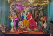 मंदिरों और घरों में विराजे भगवान श्रीकृष्ण