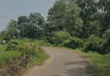 बोदलकसा पुलिया पर अंधा मोड़ बना परेशानी का सबब, हादसे की आशंका