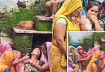 इसे कहते हैं दारू के लिए जान देना, सागर शराब कांड में एक बार डॉक्टरों ने बचाया, हॉस्पिटल से लौटते फिर छलकाया जाम