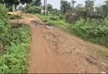 कोसरीटोला से नेवरगांव कच्चे मार्ग की हालत खस्ता