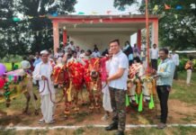 दीनाटोला में एक दिन पहले मनाया पोला पर्व सजी बैल जोड़ियां