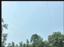 प्रतिमा विसर्जन को लेकर नगर पालिका की व्यापक तैयारी, घाटों का किया निरीक्षण
