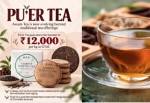असम की ‘पुएर चाय’ 12000 रुपये प्रति किलो के रिकॉर्ड दाम पर बिकी, आखिर क्या है Pu’er Tea और कैसे होती है तैयार?