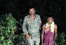 बम्हनी के पहाड़ी पर तेंदुए ने बकरी का किया शिकार, ग्रामीणों में दहशत